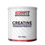 ICONFIT Микронизированный моногидрат креатина (300 г)