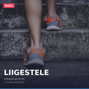 ОСНОВНЫЕ СУСТАВЫ