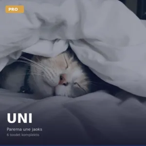 СОН ПРО